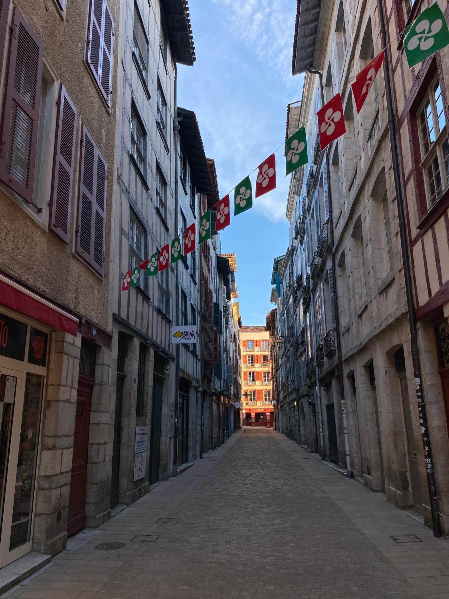 Lumineux Appartement Bayonne